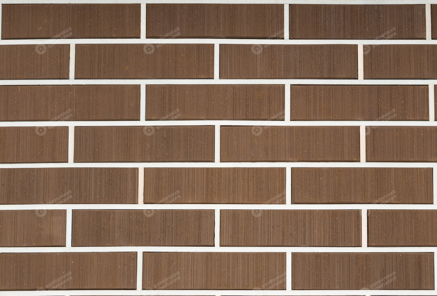 ШОКОЛАД БАРХАТ 1НФ пустотелый