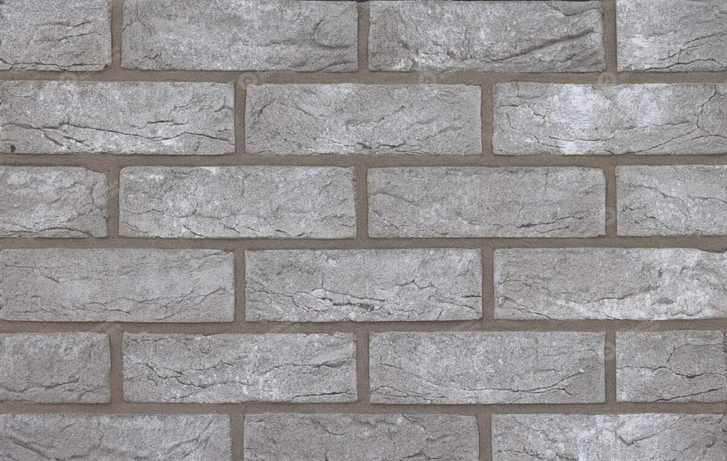 БАЛТИКА WDF полнотелый