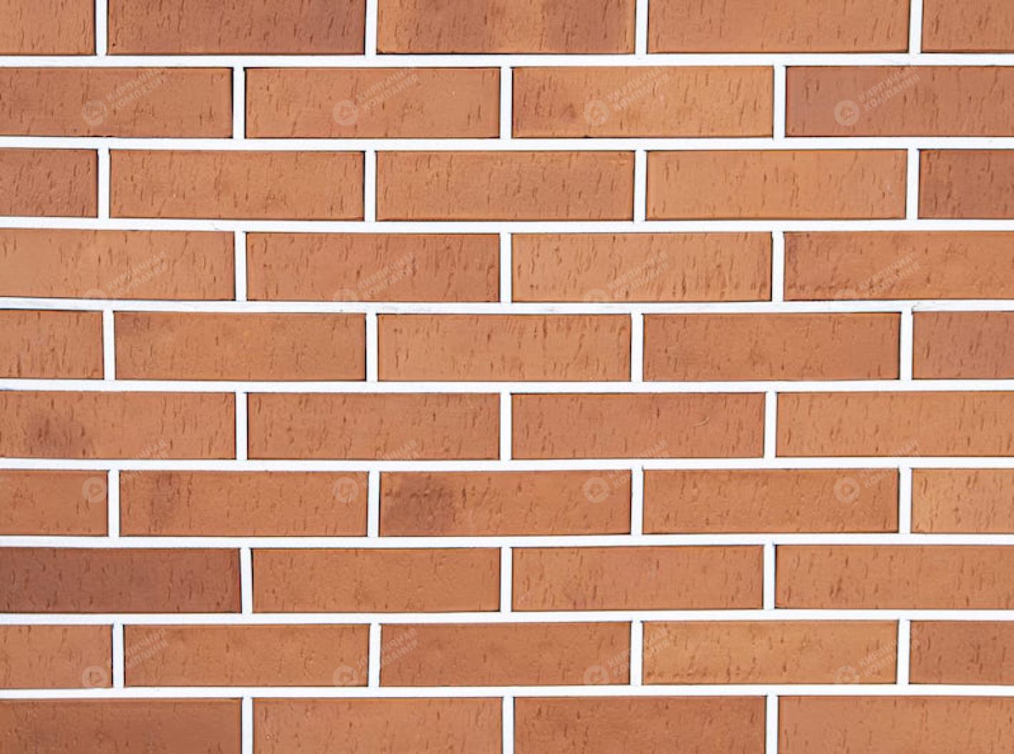 КРАСНЫЙ РИФ WDF пустотелый